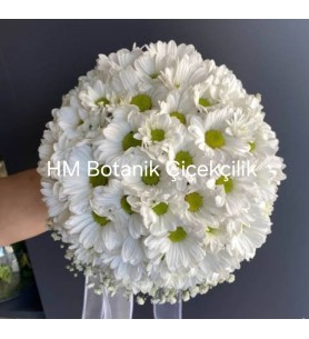 Gelin buketi (çiçegi)