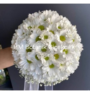 Gelin buketi (çiçegi)