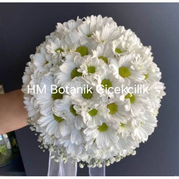 Gelin buketi (çiçegi)