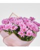 Pembe Papatya Buketi 40'LI