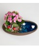 Dekor Saksıda Pembe Kalanchoe Teraryum
