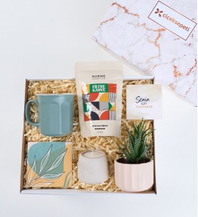 Beton Mum & Sukulent ve Filtre Kahveli Hediye Seti